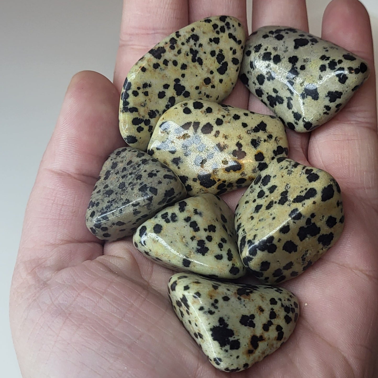 Dalmatian jaspis, rumpuhiottu